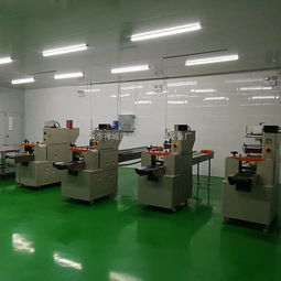 安徽無紡布口罩包裝機(jī) 高效、智能的紗布口罩自動包裝解決方案